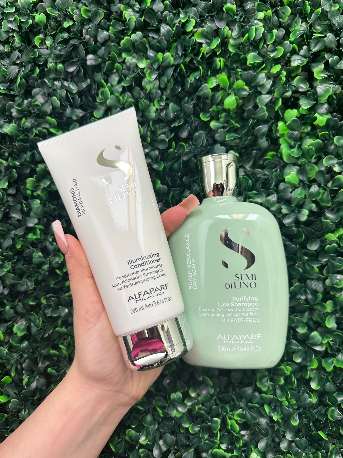 Daily Use Dandruff and Oily Hair