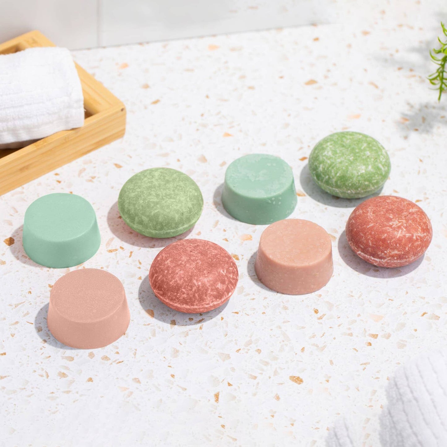 50% Off Shampoo & Conditioner for Hair Strength and Moisture + Free 4" Wooden Soap Dish