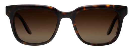 Barton Perreira Chisa