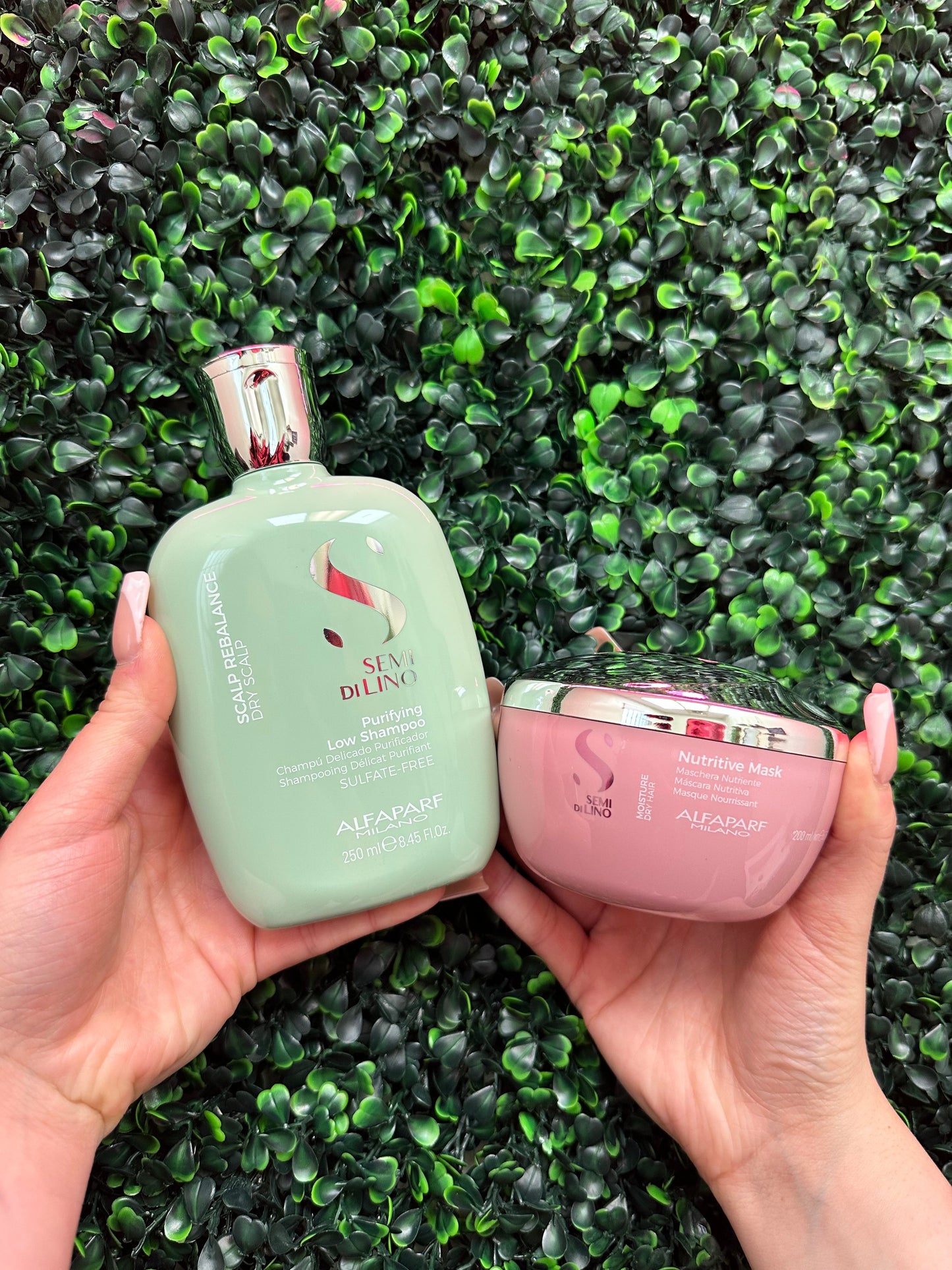 Dandruff, Oily Hair and Dry Ends